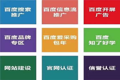 揭秘SEM竞价托管：实战案例深度解析